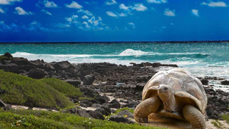Ecuador Traveler Planet, A Unique, Safe and Responsible Experience